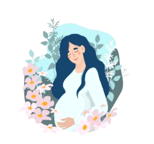 Pregnancy and prenatal chiropractic illustration